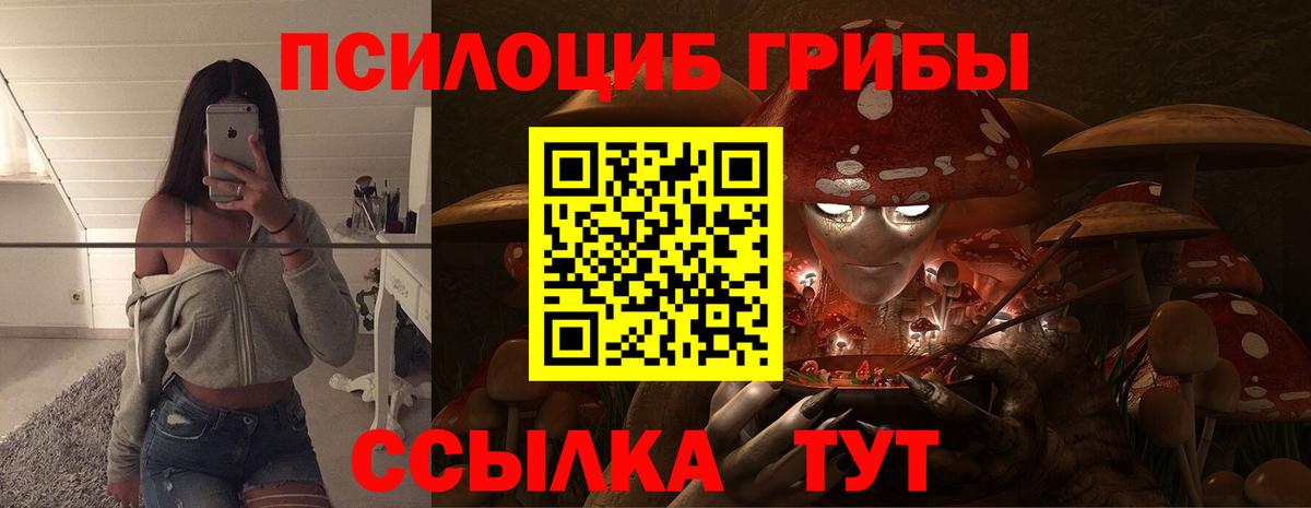 Галлюциногенные грибы мухоморы  Вход с VPN  Тихорецк 