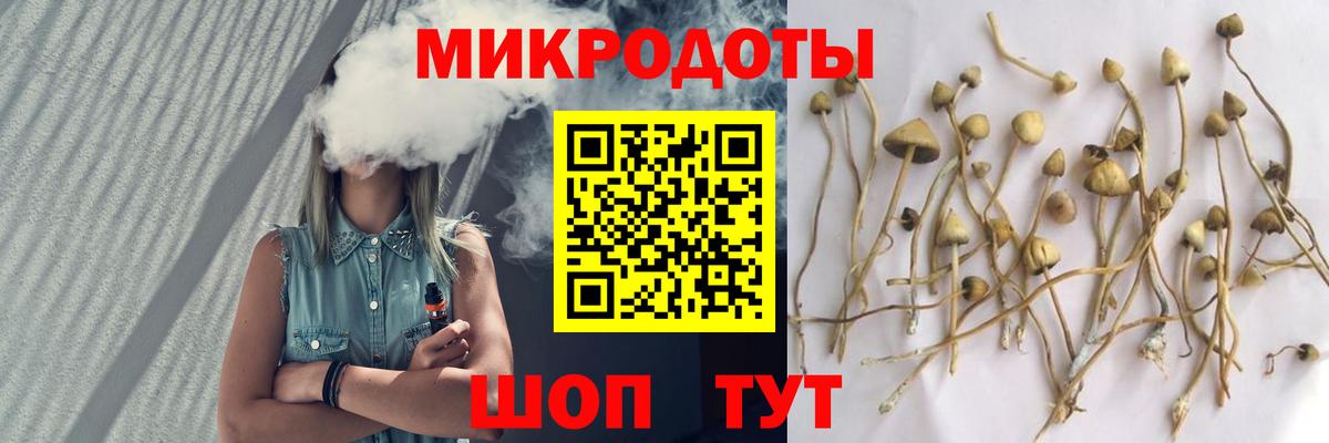 Галлюциногенные грибы GOLDEN TEACHER Тихорецк